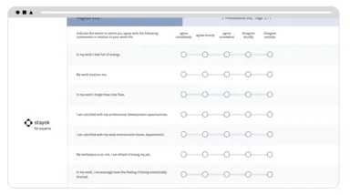 Fragebogen for experts EN
