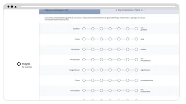 Fragebogen stayok for business IT