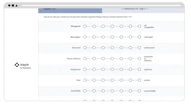 Fragebogen stayok for business EN