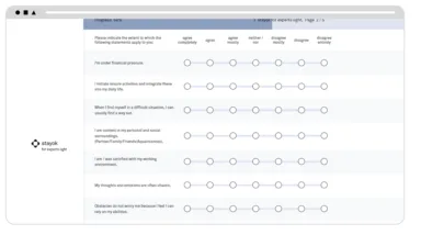Fragebogen stayok for experts light EN