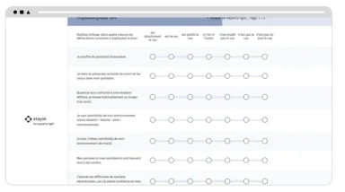 Fragebogen stayook for experts light FR